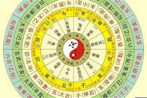 四柱八字排盘程式|八字排盘在线工具